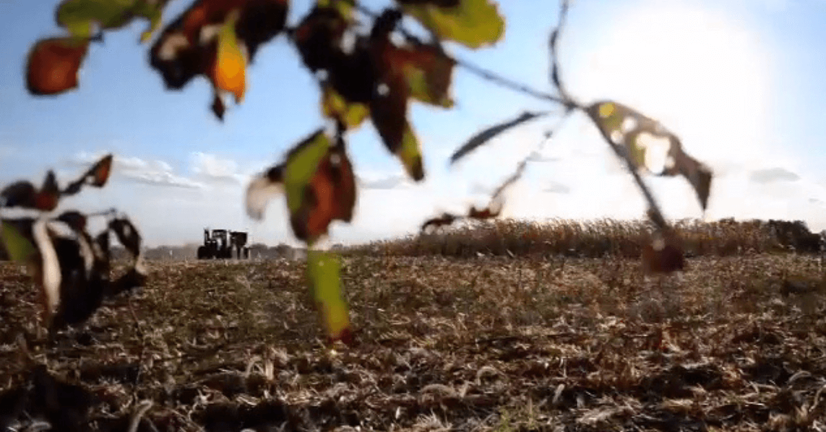 The Land Buying Process